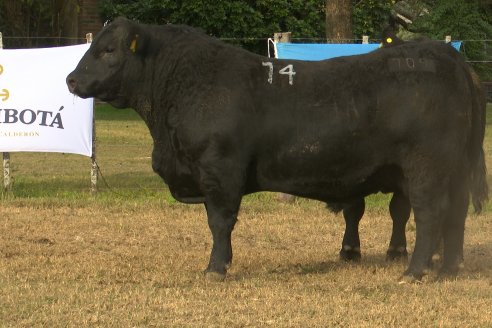Dia de Campo 2026 - Coembotá de Calderón