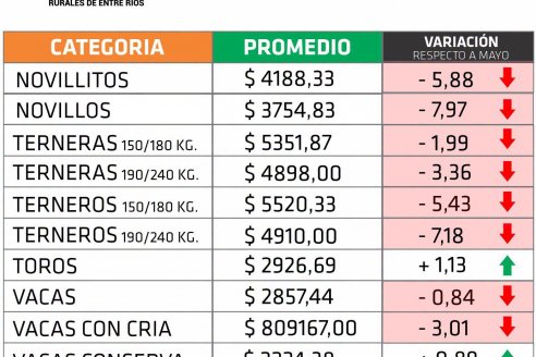 Las ventas de junio en Entre Ríos marcan baja de precios del 3,77%
