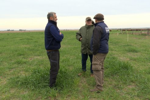Visita a Cabaña Bajo Fértil de Genética L&rsquo;Arachide - Previa al 6to. Remate Anual