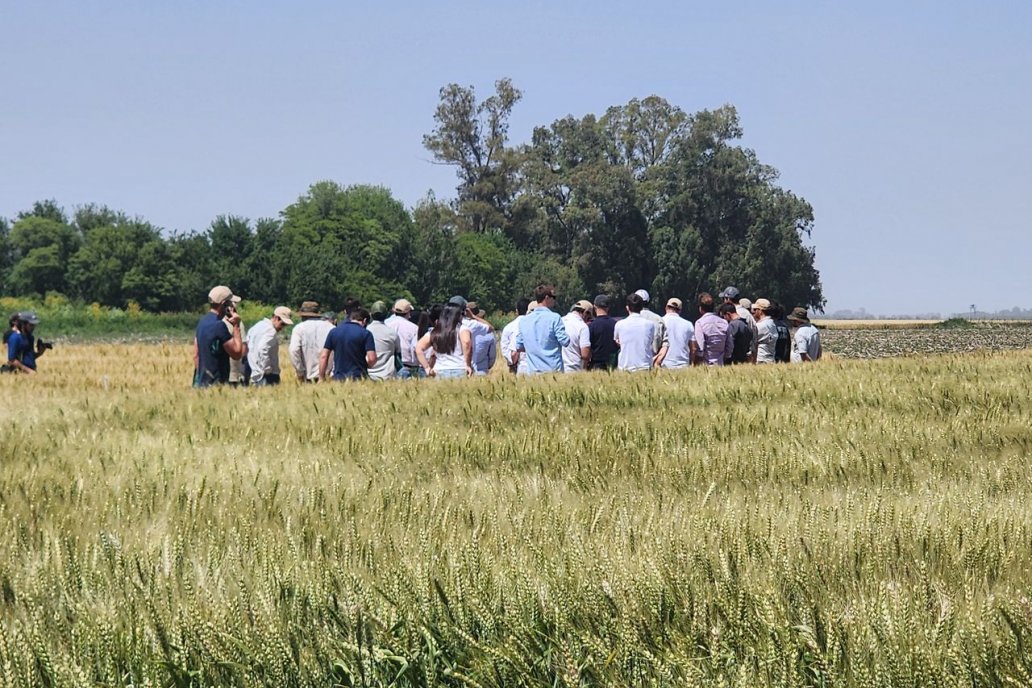 Desde Neogen aportan evidencia sobre el impacto de las recientes heladas