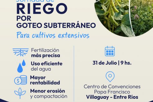 Todo sobre riego por goteo subterráneo
