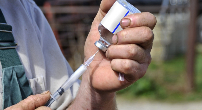 La trazabilidad digital sobre el uso y manejo de medicamentos veterinarios está en marcha