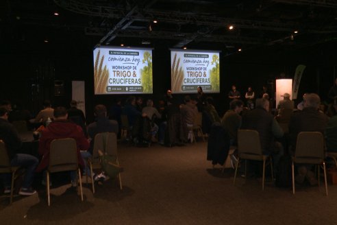 Workshop Trigo y Crucíferas de Syngenta en Santa Fe