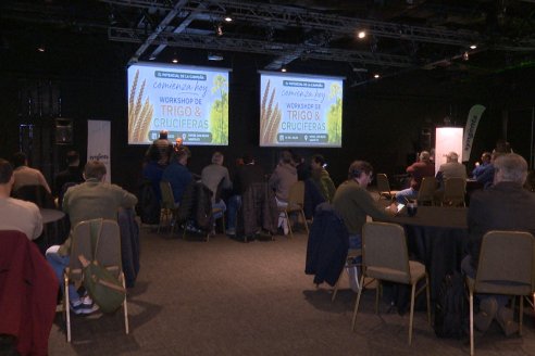 Workshop Trigo y Crucíferas de Syngenta en Santa Fe