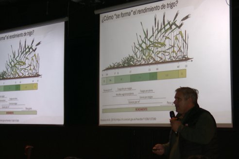 Workshop Trigo y Crucíferas de Syngenta en Santa Fe