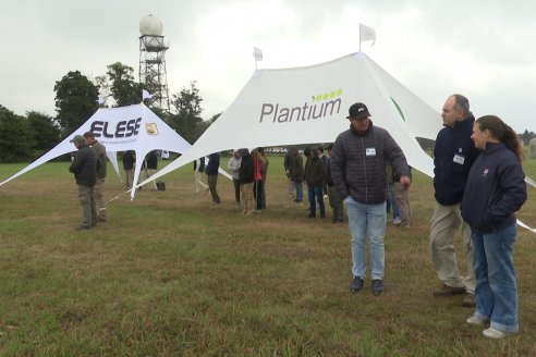 INTA Pná, PLANTIUM Y ELESE Jornada de Actualización Técnica - 