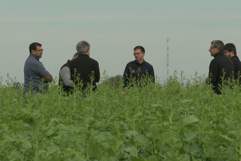 Recorrida por la carinata de Saracho S.A. en Hasenkamp junto a Agrofe Campo y Nufarm