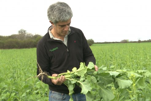 Recorrida por la carinata de Saracho S.A. en Hasenkamp junto a Agrofe Campo y Nufarm
