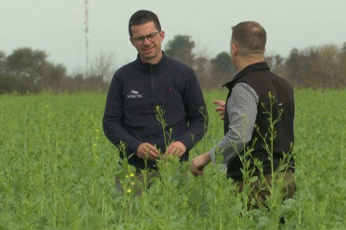 Recorrida por la carinata de Saracho S.A. en Hasenkamp junto a Agrofe Campo y Nufarm