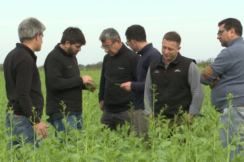 Recorrida por la carinata de Saracho S.A. en Hasenkamp junto a Agrofe Campo y Nufarm
