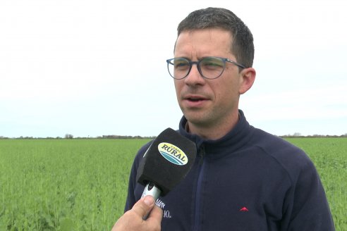 Recorrida por la carinata de Saracho S.A. en Hasenkamp junto a Agrofe Campo y Nufarm
