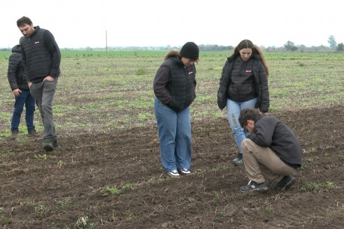 Presentación de la nueva sembradora Velosofía Air de Giorgi-Plantium en El Tatú Maquinarias - Seguí, Entre Rios
