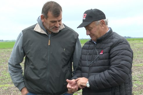 Presentación de la nueva sembradora Velosofía Air de Giorgi-Plantium en El Tatú Maquinarias - Seguí, Entre Rios