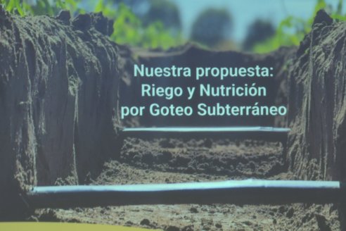 IRRIGATIO Riego & Energia: Jornada de Riego y Nutrición por goteo subterraneo en Villaguay