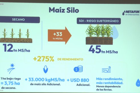 IRRIGATIO Riego & Energia: Jornada de Riego y Nutrición por goteo subterraneo en Villaguay