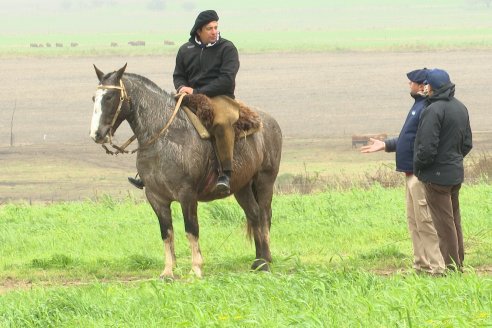 Visita a Cabaña Malaika : Previa al 5° Remate Anual