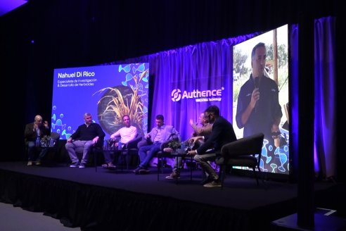 Lanzamiento de Authence® de Syngentan en Paraná