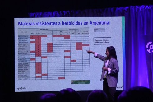 Lanzamiento de Authence® de Syngentan en Paraná