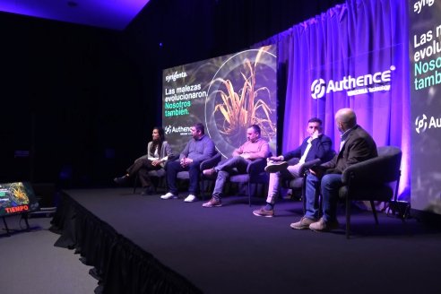 Lanzamiento de Authence® de Syngentan en Paraná