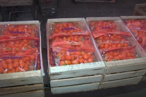 Visita a Establecimeinto Citricola El Aroma - Colonia Roca, Departamento Concordia