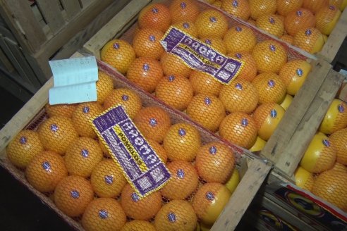 Visita a Establecimeinto Citricola El Aroma - Colonia Roca, Departamento Concordia