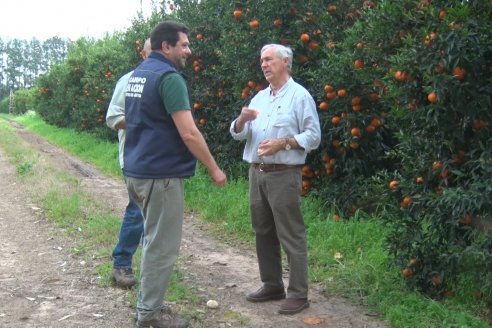 Visita a Establecimeinto Citricola El Aroma - Colonia Roca, Departamento Concordia