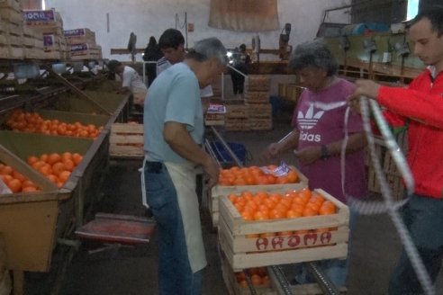 Visita a Establecimeinto Citricola El Aroma - Colonia Roca, Departamento Concordia