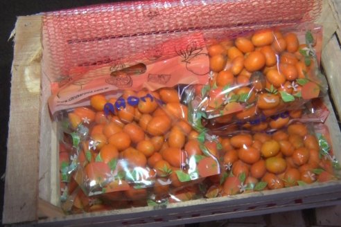 Visita a Establecimeinto Citricola El Aroma - Colonia Roca, Departamento Concordia