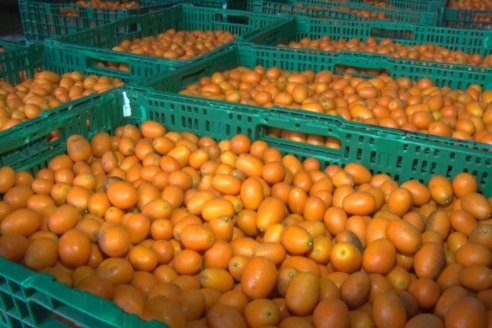 Visita a Establecimeinto Citricola El Aroma - Colonia Roca, Departamento Concordia