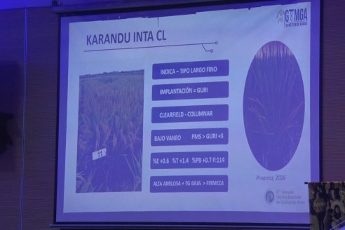 Postales de la 37° Jornada Técnica Nacional del Cultivo de Arroz - Concordia, Entre Ríos