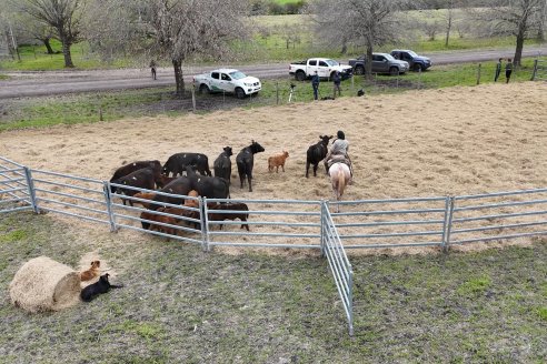 Visita a Estancia Don Pastor - Lucas Norte, Entre Rios - Previa al 21° Remate Anual Angus y 1° Brangus