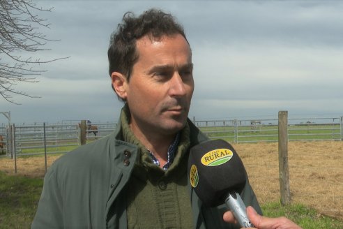 Visita a Estancia Don Pastor - Lucas Norte, Entre Rios - Previa al 21° Remate Anual Angus y 1° Brangus