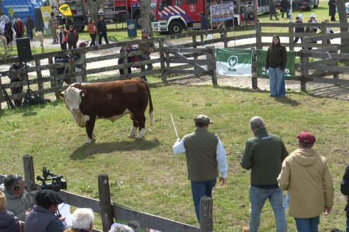 Postales de la 39° Exposición Nacional Hereford en Sociedad Rural de Gualeguaychú