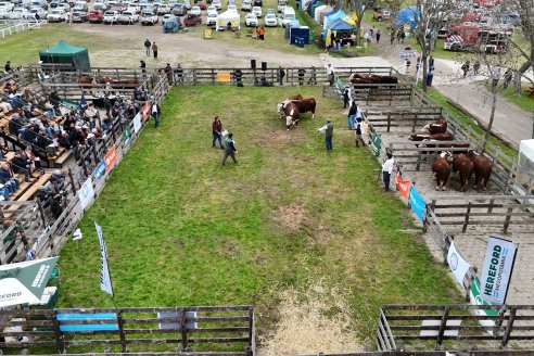 Postales de la 39° Exposición Nacional Hereford en Sociedad Rural de Gualeguaychú
