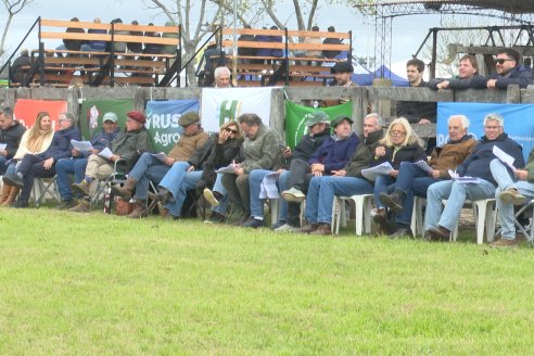 Postales de la 39° Exposición Nacional Hereford en Sociedad Rural de Gualeguaychú