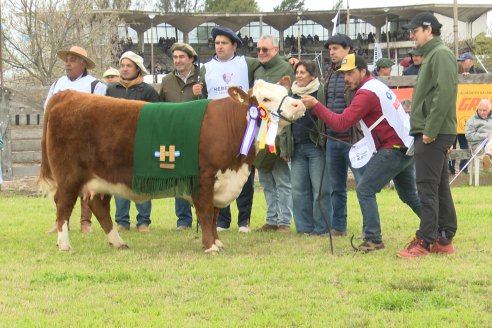 Postales de la 39° Exposición Nacional Hereford en Sociedad Rural de Gualeguaychú