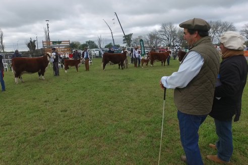 Postales de la 39° Exposición Nacional Hereford en Sociedad Rural de Gualeguaychú