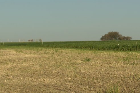 Chacra 100 - Valle Maria, Entre Rios - Preparativos para la Fiestra Provincial del Trigo