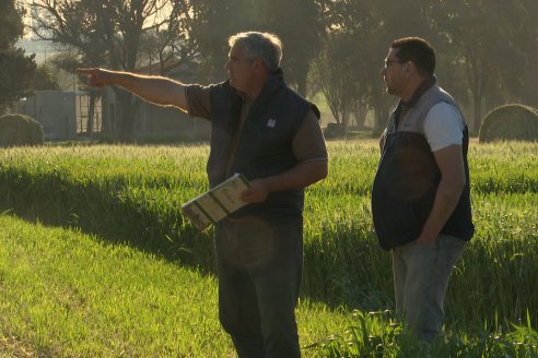 Chacra 100 - Valle Maria, Entre Rios - Preparativos para la Fiestra Provincial del Trigo