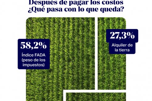 Índice FADA: Mejores precios, pero la mochila impositiva sigue pesada