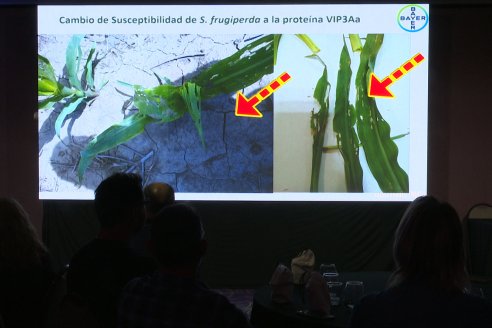 Lazamiento VAYEGO de Bayer para Entre Rios y Santa Fe - Hotel Howard Johnson, Paraná