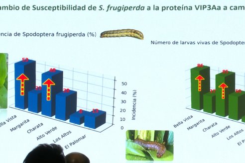 Lazamiento VAYEGO de Bayer para Entre Rios y Santa Fe - Hotel Howard Johnson, Paraná