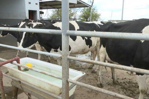En Establ. San Miguel - Caproler lanzó la 2° Jornada de la Cadena Láctea de Entre Ríos