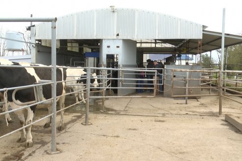 En Establ. San Miguel - Caproler lanzó la 2° Jornada de la Cadena Láctea de Entre Ríos