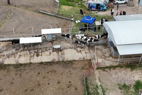 En Establ. San Miguel - Caproler lanzó la 2° Jornada de la Cadena Láctea de Entre Ríos