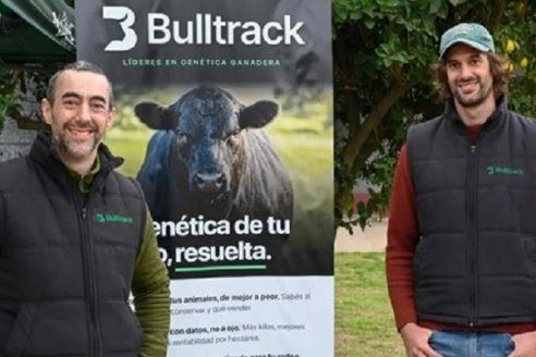 Bulltrack: la startup argentina que une tecnología y ganadería
