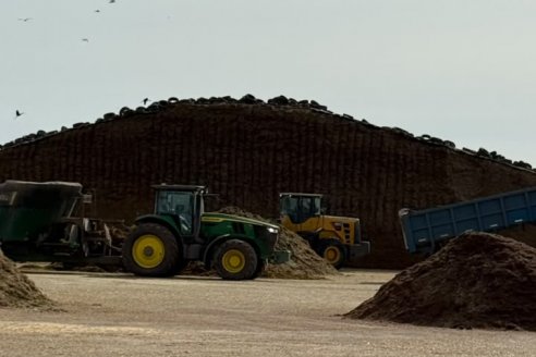 Cuando el Agua puede sobrar: Producir silajes de maíz en un escenario de excesos hídricos