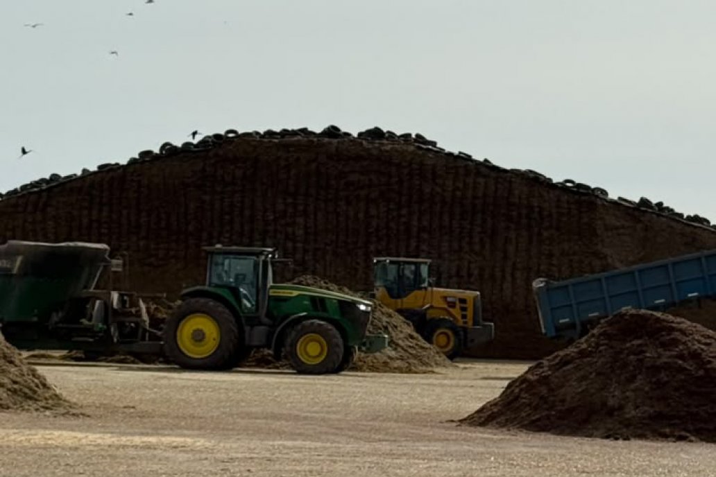 Producir silajes de maíz en un escenario de excesos hídricos