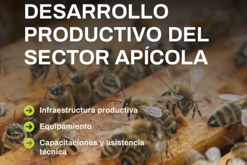 Está abierta convocatoria para acceder a módulos de inversión apícola