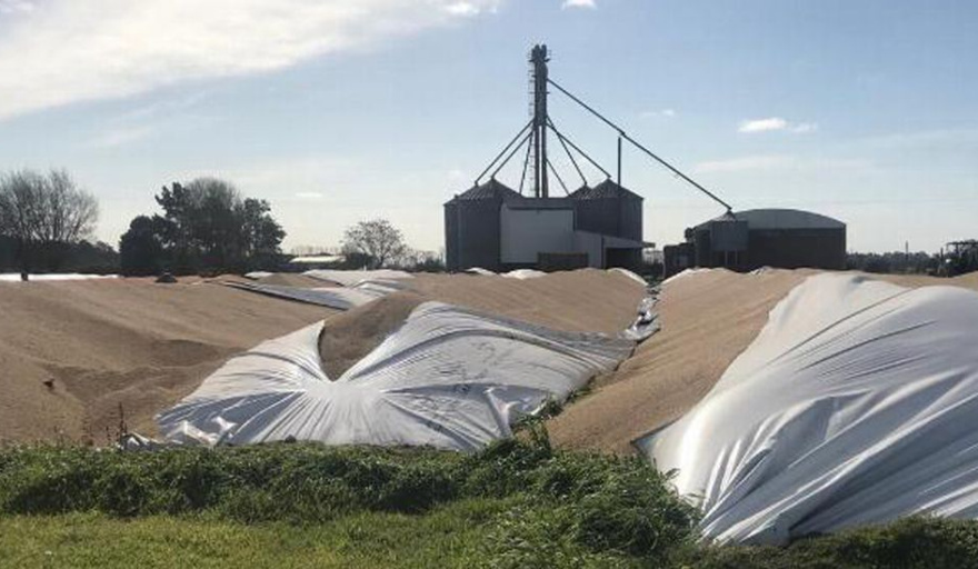 Vandalismo rural: El proyecto avanza en el parlamento